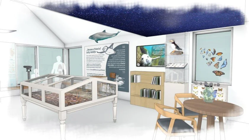 Give your feedback on designs for future museum exhibitions and activities