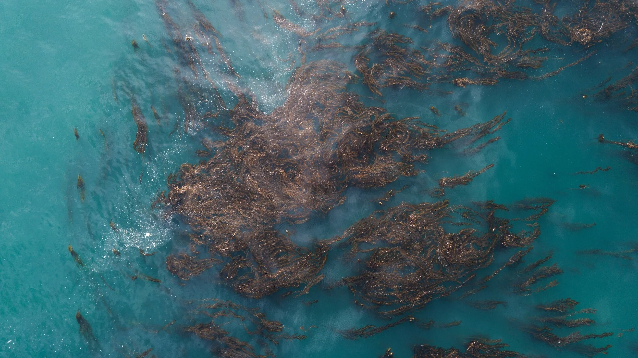    There is a history of the kelp industry on the Islands and kelp-burning pits are part of the heritage landscape of our islands.  