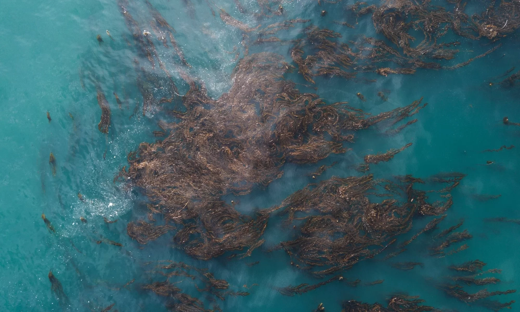 Transforming Scilly seaweed and sand into glass